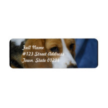 beagle-31.jpg return address labels