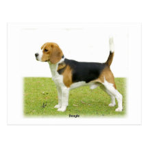 Beagle 9J27D-02 Carte Postale