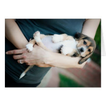 Beagle Babe In Arms Greeting Card