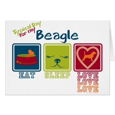 Beagle Cards by taoofblue