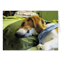Beagle Christmas Card