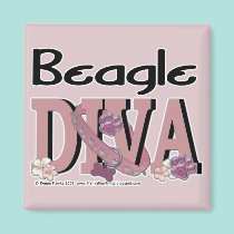 Beagle DIVA magnets