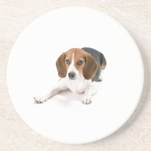 Beagle Dog Coaster