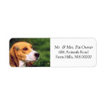 Beagle Dog Face Return Address Mailing Stickers Custom Return Address Label