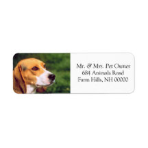 Beagle Dog Face Return Address Mailing Stickers Custom Return Address Label