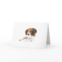 Beagle Dog Greeting Card