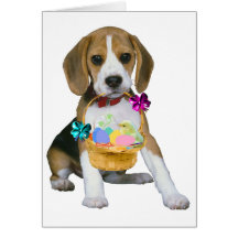 Beagle Easter Cards