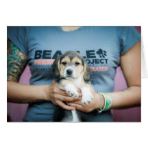Beagle Freedom Pup on T-Shirt Card