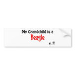 Beagle Grandchild Bumper Sticker