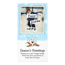 Beagle heureux dans la neige cartes avec photo