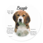 Beagle History Design