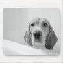 Beagle in the Bathtub Mousepad