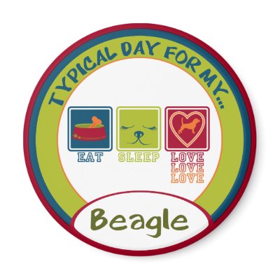 Beagle Refrigerator Magnet by taoofblue