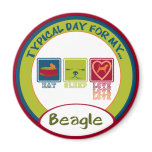 Beagle magnets
