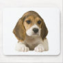 Beagle Mousepad