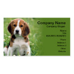 Beagle Pet Sitting Business Card