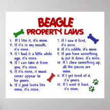 BEAGLE PL2 POSTER