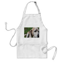 beagle portrait aprons