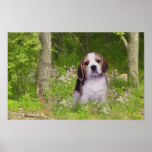 Beagle Poster In Forest