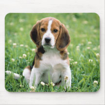 Beagle Puppy Mousepad