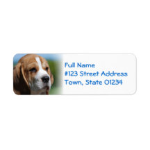 Beagle Puppy Return Address Label