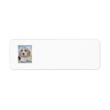 Beagle Puppy Return Address Label