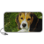 Beagle Puppy Speaker