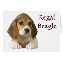 Beagle Regal Card