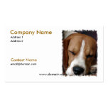 Beagle Snoozing Business Card