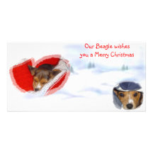 Beagle wishing a Merry Christmas Custom Photo Card