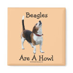 Beagles Are A Howl Dog Lover Photo Magnet