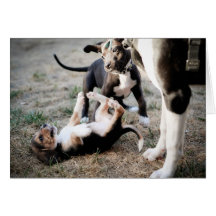 Beagles Can Be Tough Guys Cards