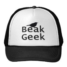 Beak Geek-- Wren Mesh Hat