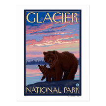 Bear and Cub - Glacier National Park, MT Postcard