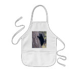 bear apron