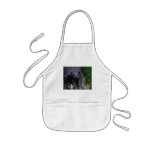 bear aprons