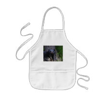 bear aprons