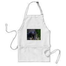 bear aprons