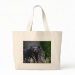 bear canvas bags