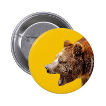 bear boton 