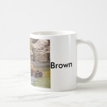 Bear Brown Tazas