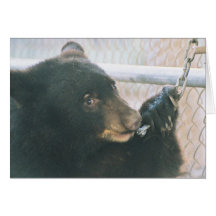 Bear Cub Note Card - Chain
