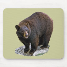 Bear Drawing Gift Mouse Pads