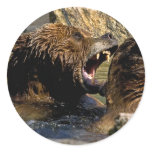 Bear Fight Stickers