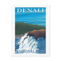 Bear Fishing in River - Denali National Park, Post Cards