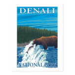 Bear Fishing in River - Denali National Park, Post Cards