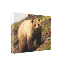 bear gallery wrapped canvas