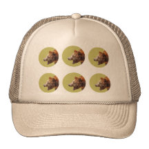 bear gorras de camionero
