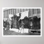 Bear Hunting Alaska 1906 Poster
