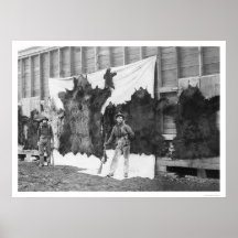 Bear Hunting Alaska 1906 Poster